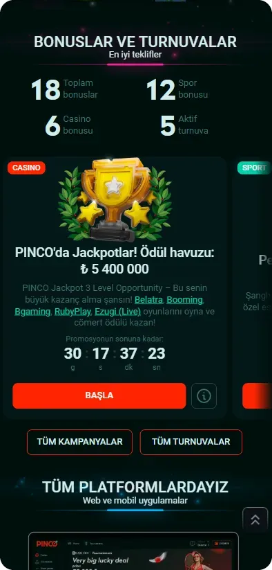 Pin Up Casino ile şansınızı deneyin!
