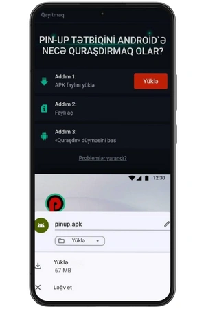 pin up proqramını necə yükləmək olar